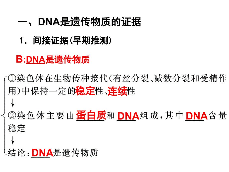 DNA是主要的遗传物质高三复习_第3页