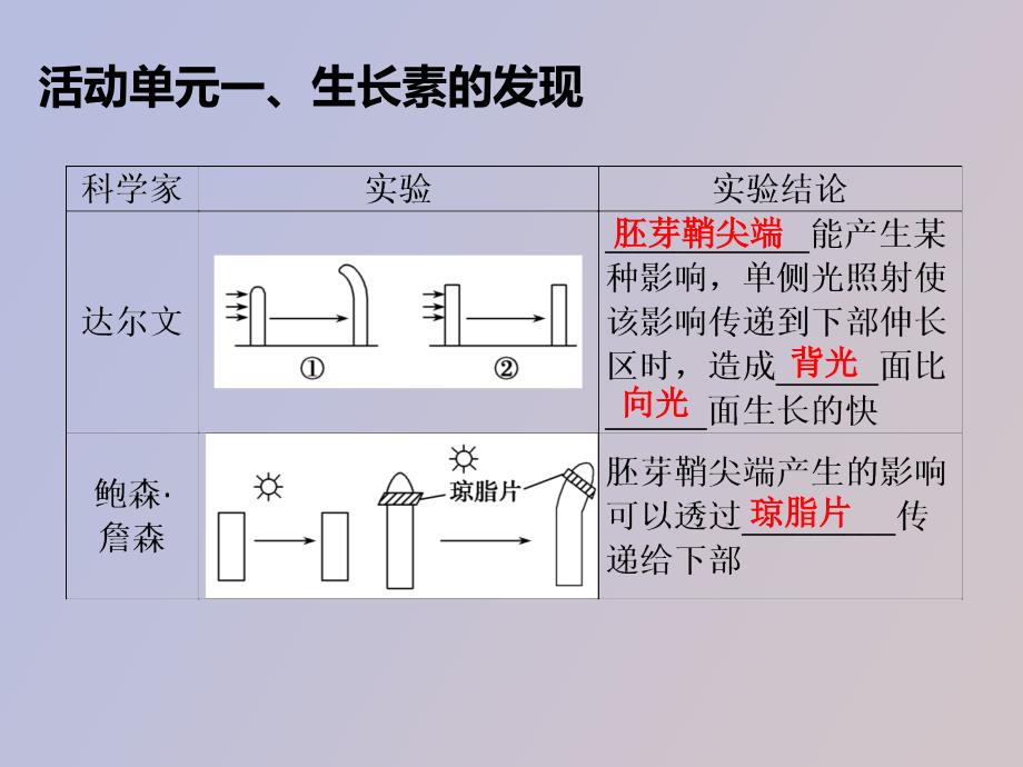 植物生命活动调节复习_第4页