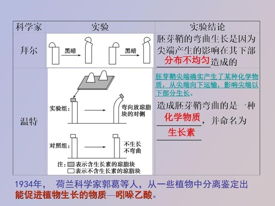 植物生命活动调节复习_第5页