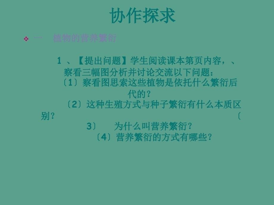 第七节植物的营养繁殖ppt课件_第5页