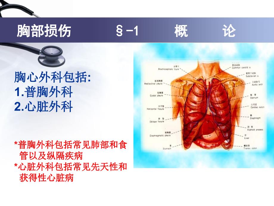 普胸外科ppt课件_第3页