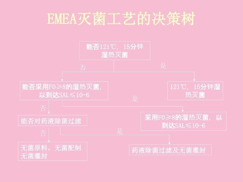 无菌保证工艺研究ppt课件_第5页