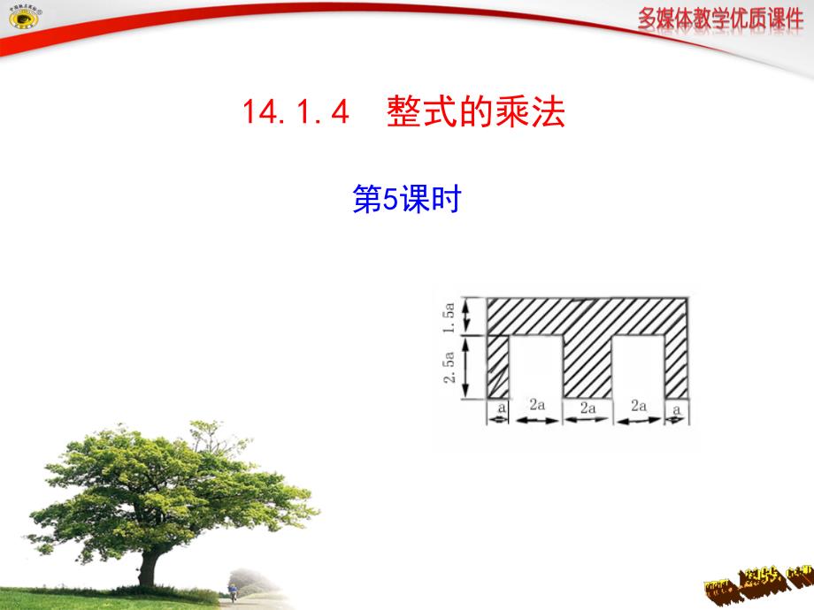 14.1.4整式的乘法第5课时课件_第1页