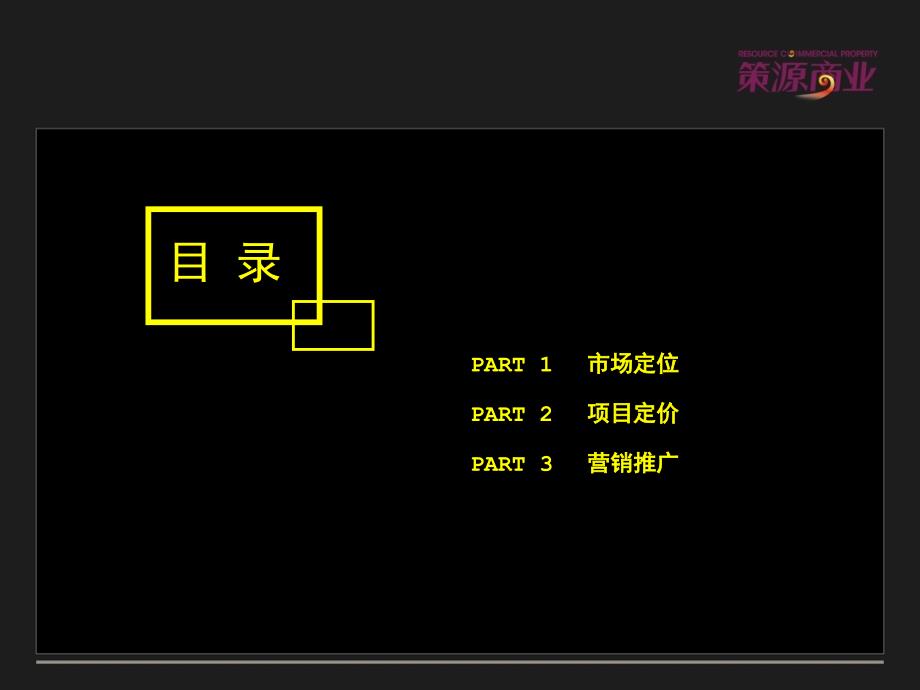 陕西省西安公园天下商业项目营销报告_第2页