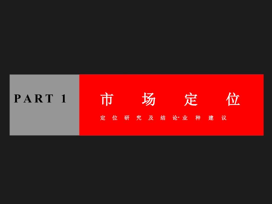 陕西省西安公园天下商业项目营销报告_第3页