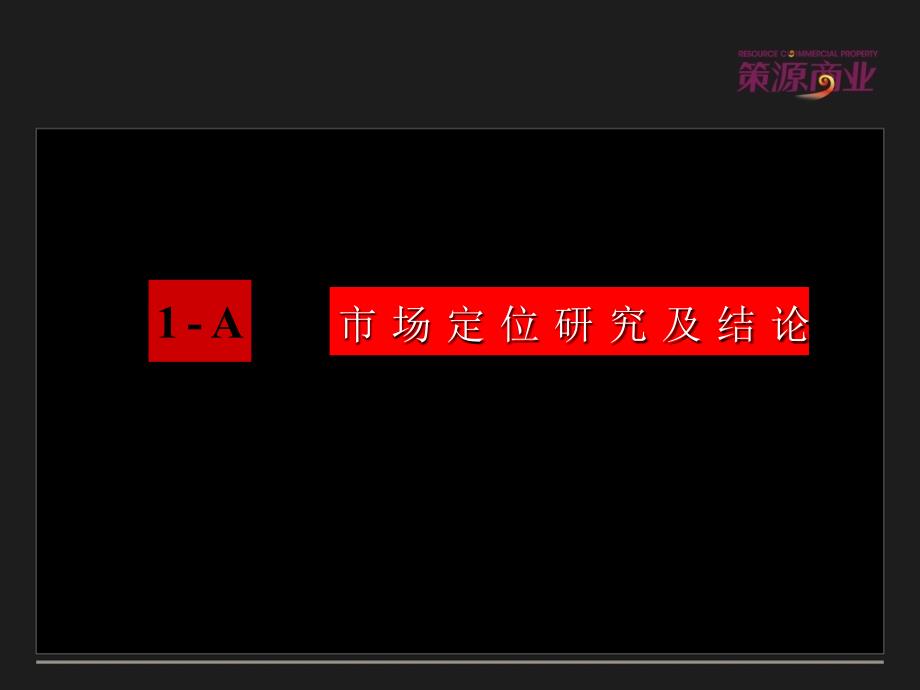 陕西省西安公园天下商业项目营销报告_第4页