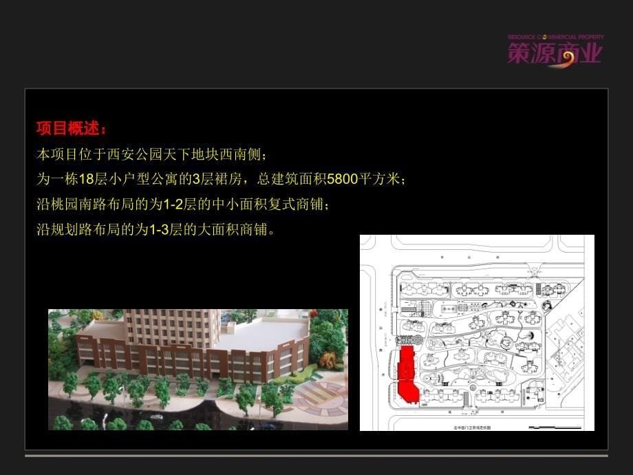 陕西省西安公园天下商业项目营销报告_第5页