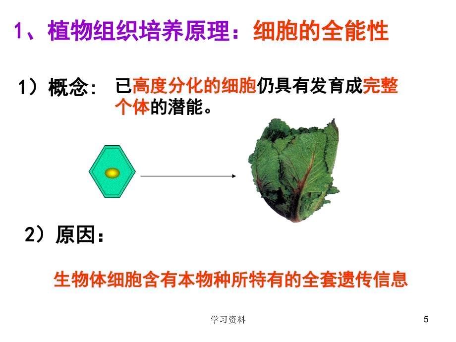 细胞工程一轮复习课件公开课#学习资料_第5页