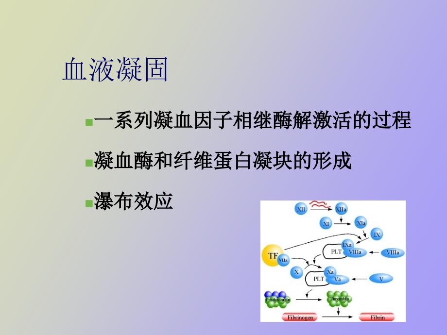 弥散性血管内凝血DI_第2页