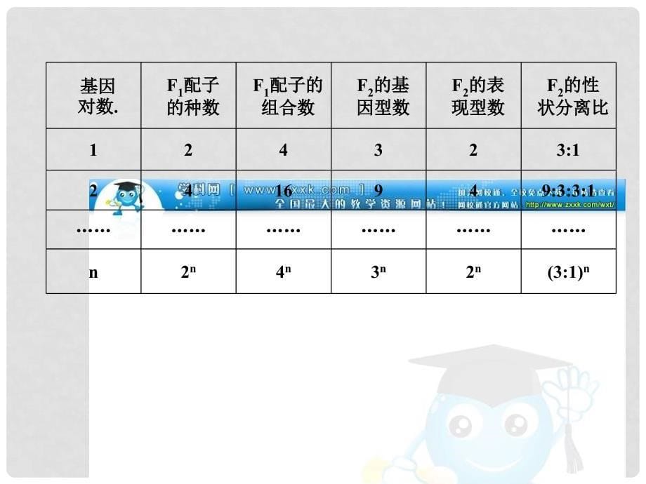 高考生物三轮考前重点专题突破 专题三 遗传的基本规律（含细胞质遗传）课件_第5页