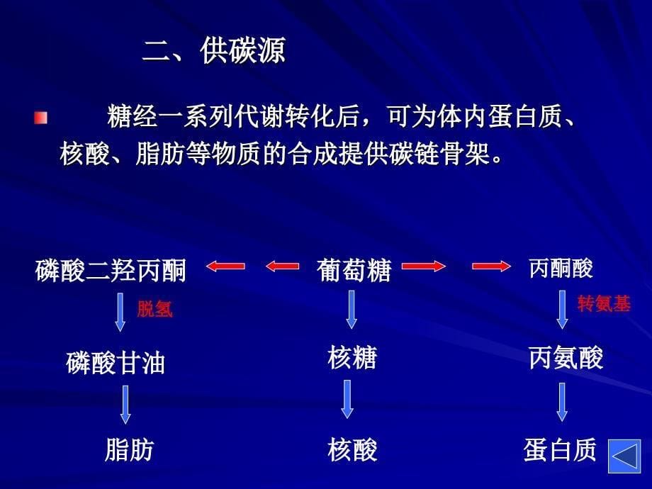 《生化》第六章糖代谢.ppt_第5页