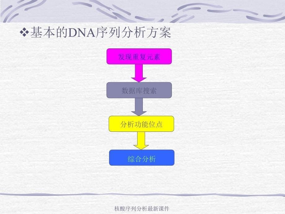 核酸序列分析最新课件_第5页