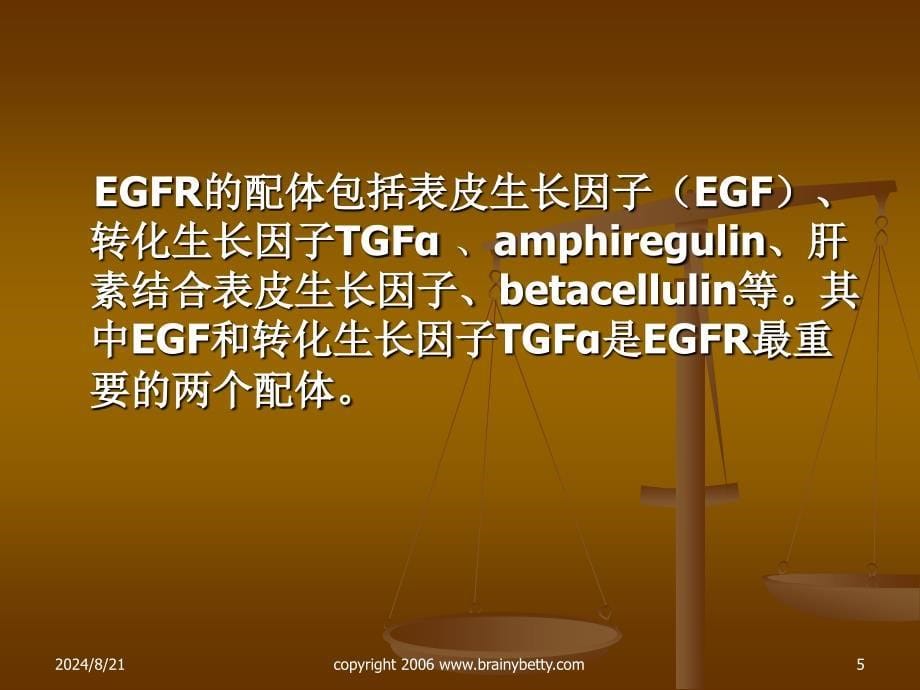 以EGFR为靶点的抗肿瘤药物.ppt_第5页