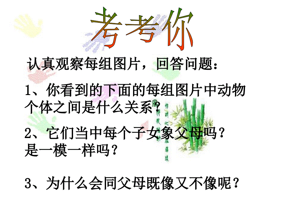 基因控制生物的性状.ppt_第1页