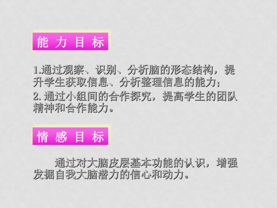 七年级生物下册12.1 神经系统与神经调节（课件3）北师大版_第3页