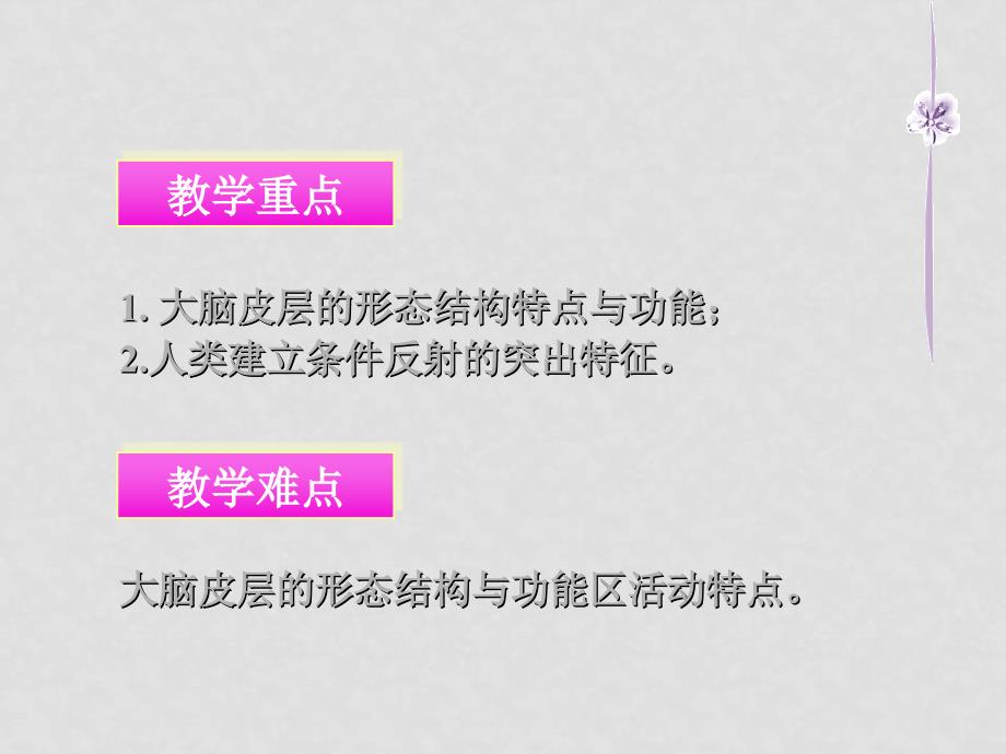 七年级生物下册12.1 神经系统与神经调节（课件3）北师大版_第4页