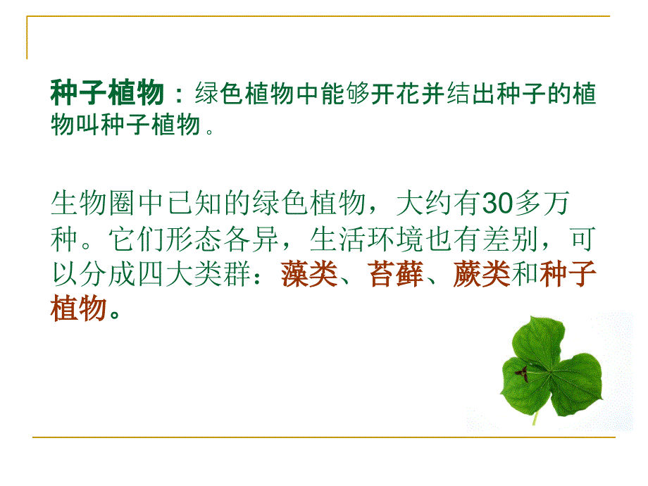 藻类苔藓和蕨类植物ppt课件_第4页