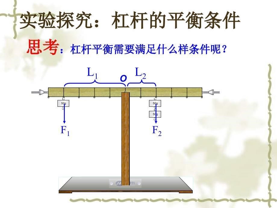 111杠杆第二课时_第5页