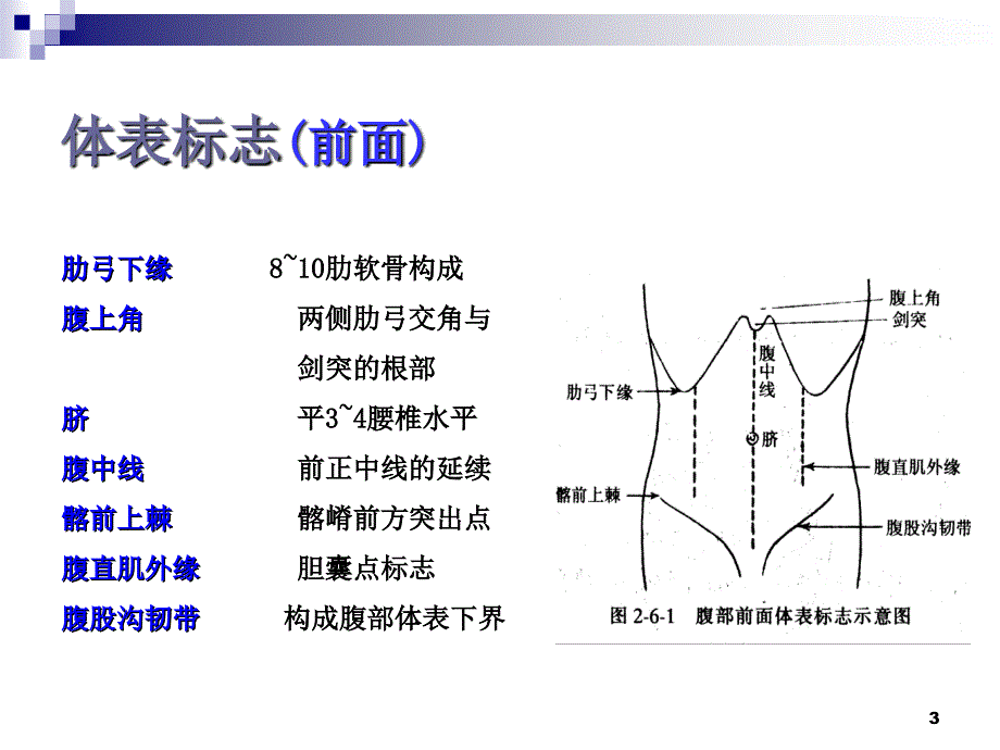 体格检查---腹部_第3页