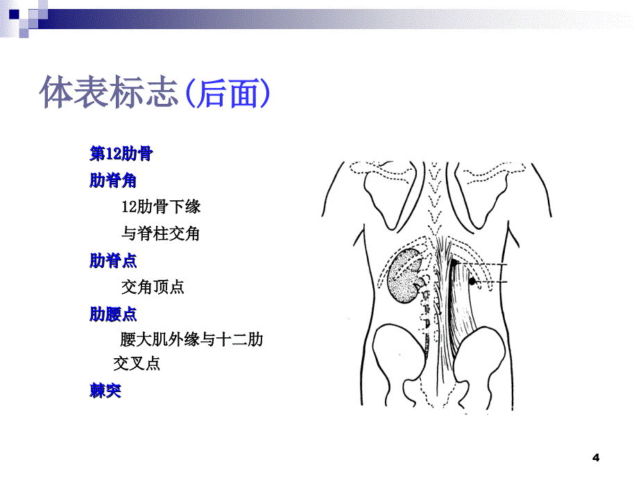 体格检查---腹部_第4页