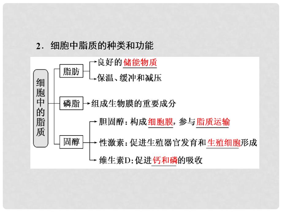 高三生物一轮复习 第一单元 细胞及其分子组成 第五讲 核酸、糖类与脂质课件（必修1）_第4页