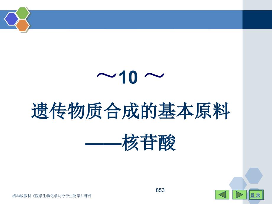 遗传物质合成的基本原料-核苷酸_第1页