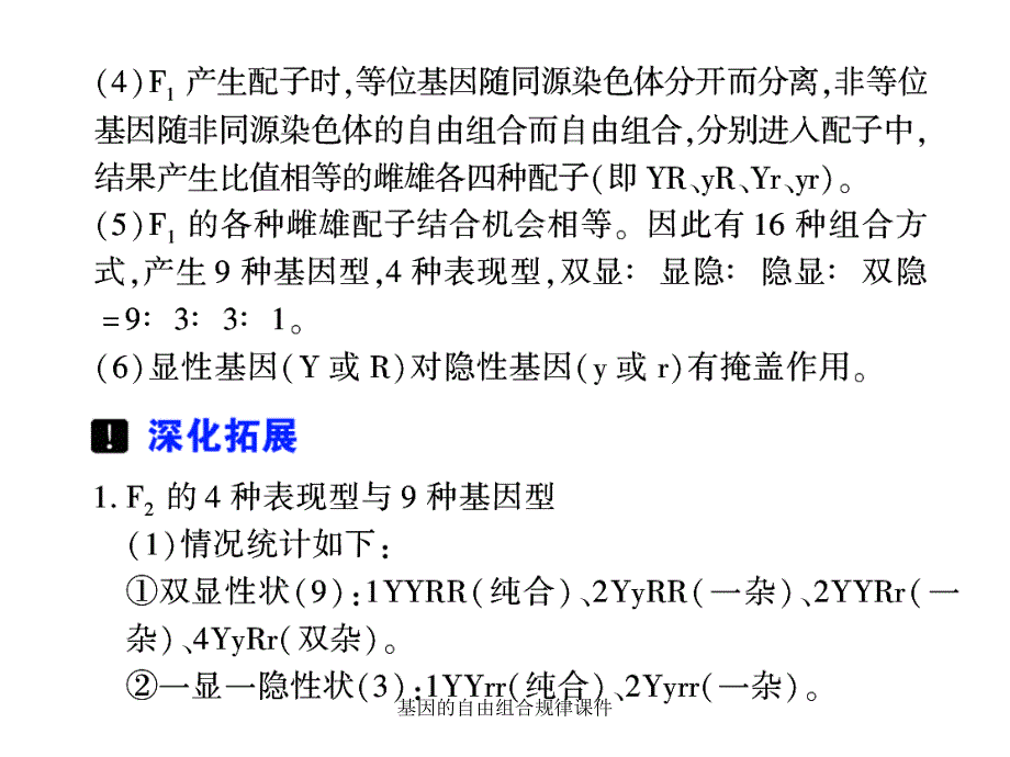 基因的自由组合规律课件_第4页