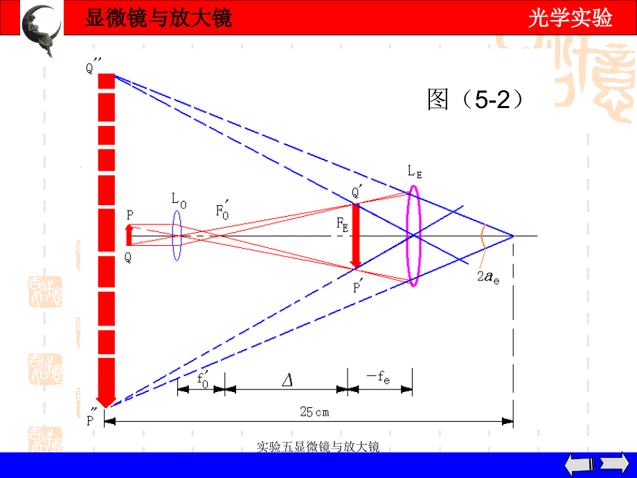 实验五显微镜与放大镜课件_第3页