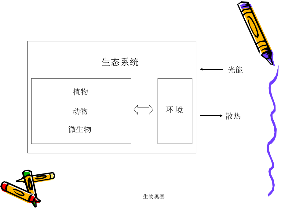 生物奥赛课件_第2页