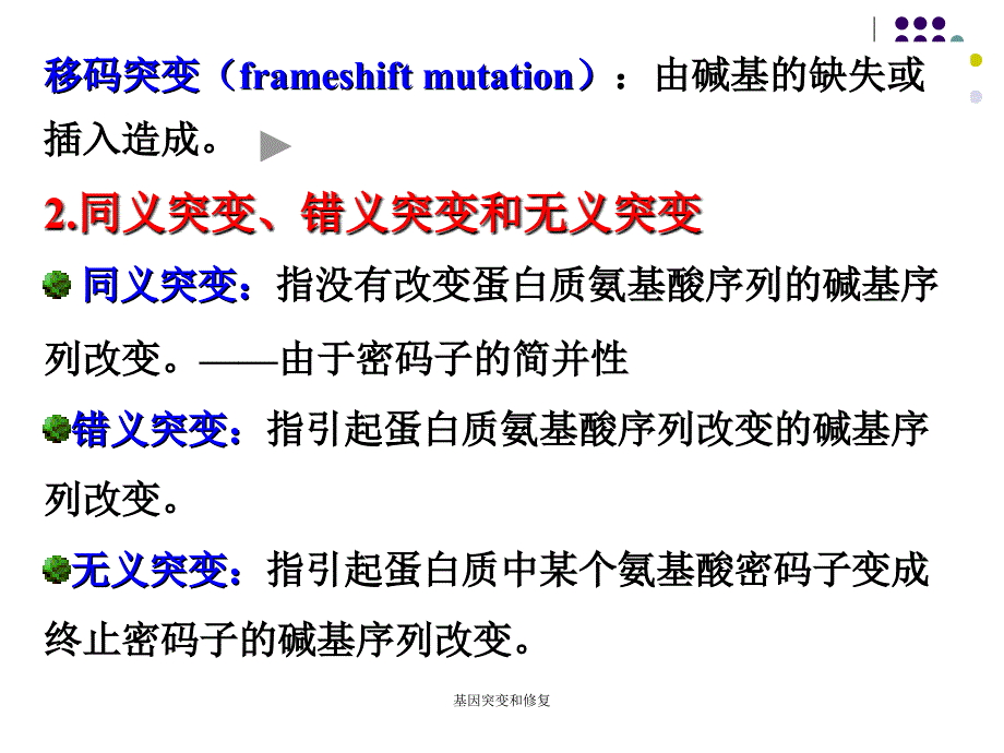 基因突变和修复课件_第3页