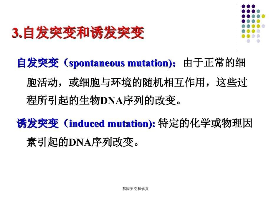 基因突变和修复课件_第5页