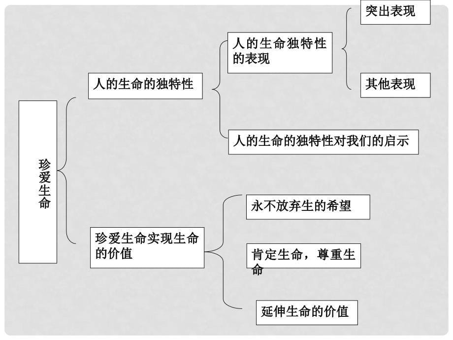 中考政治复习讲学稿 第二讲 珍爱生命课件_第5页