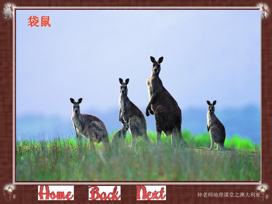 南半球独占一个大陆的国家太平洋和印度洋之间临海国_第4页