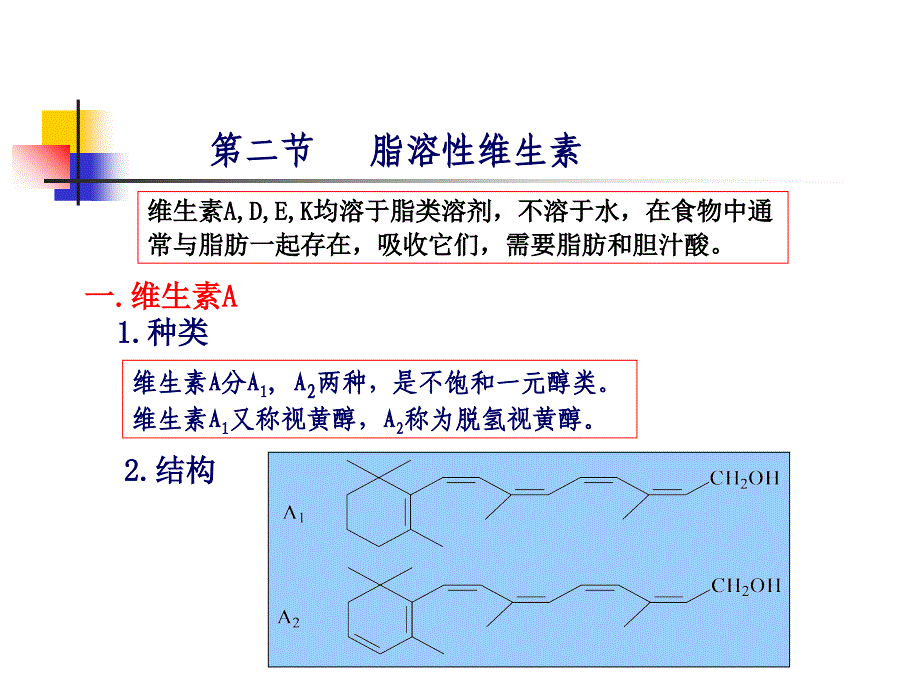 生化5第五章维生素与辅酶_第4页