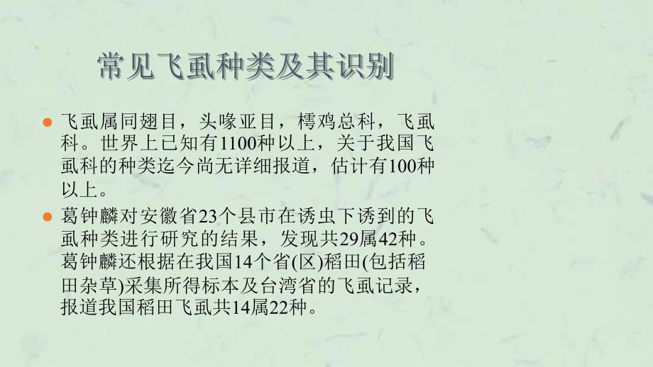 圣诞专辑毛线编织圣诞帽子手工制作圣诞礼物课件_第2页