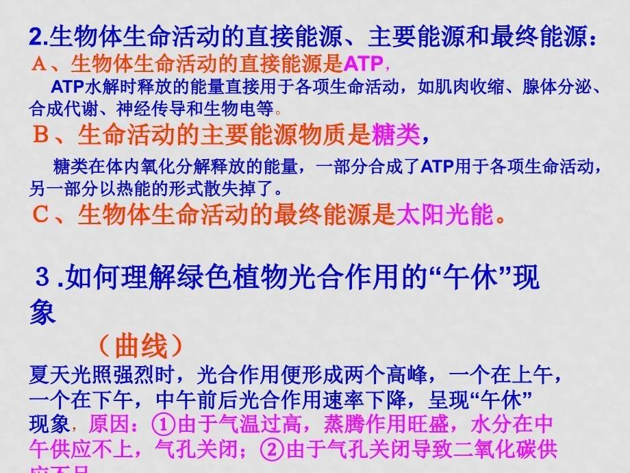 高考生物二轮专题复习 细胞代谢 ppt_第5页