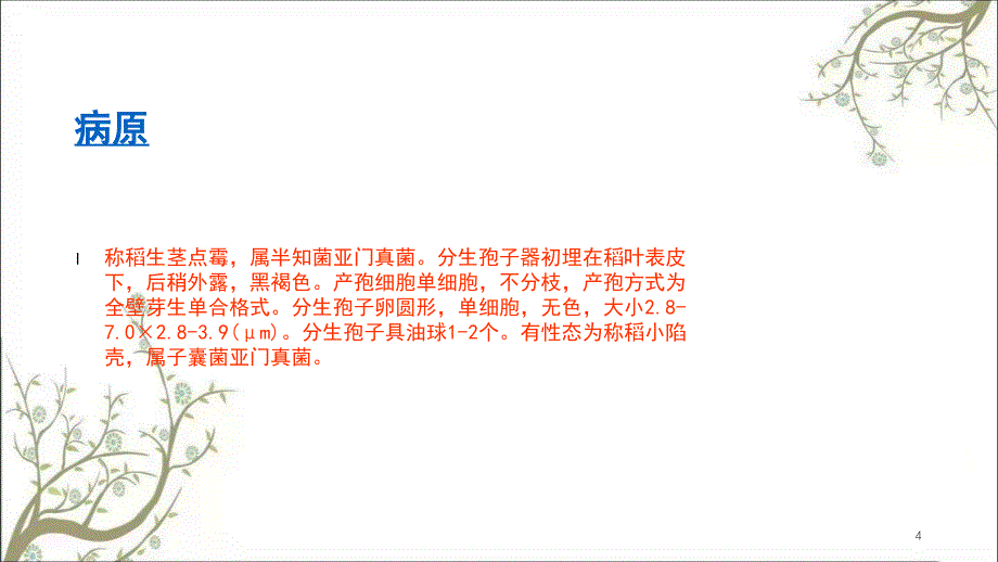 水稻的病虫防治课件_第4页