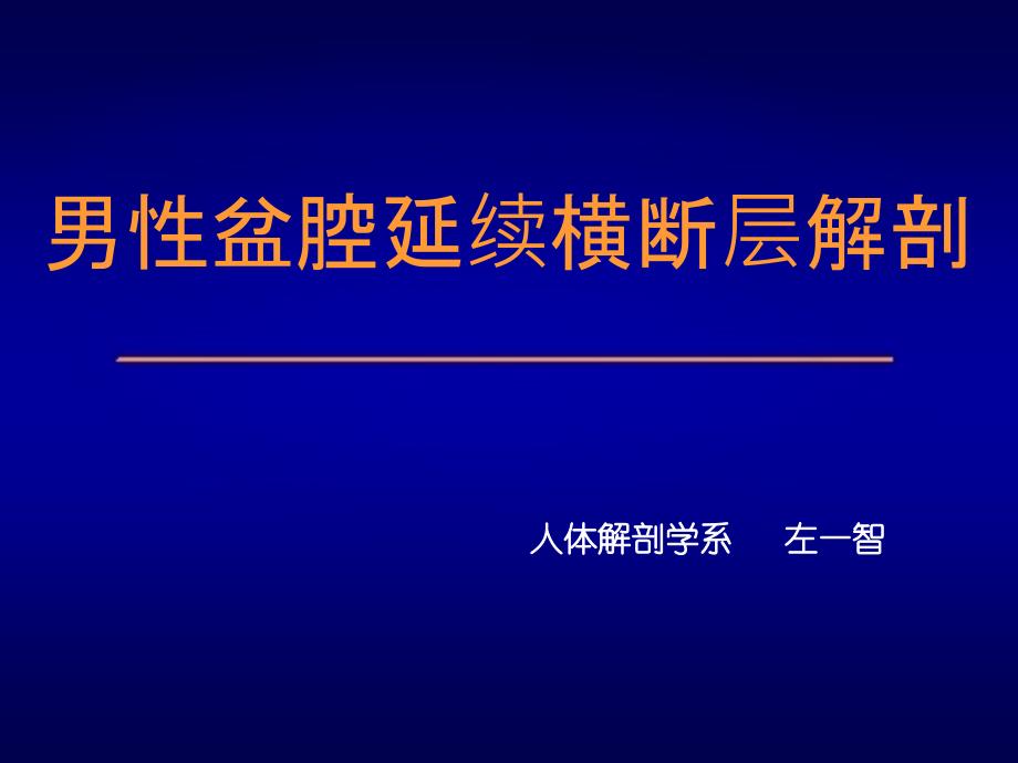 男性盆腔连续横断层解剖ppt课件_第1页