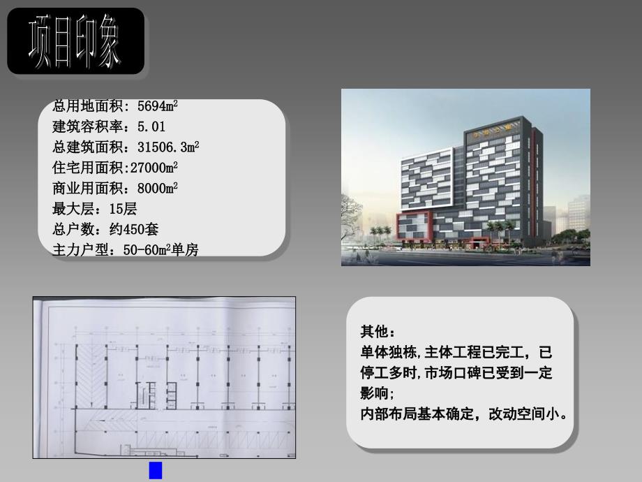 xx东城项目销售执行报告_第3页