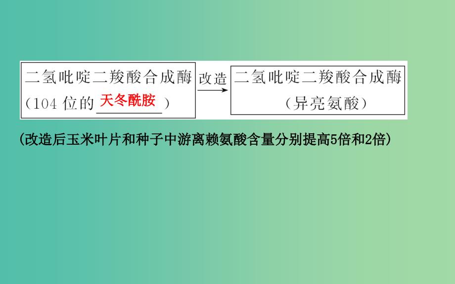 高中生物 探究导学课型 专题1 基因工程 1.4 蛋白质工程的崛起同课异构课件 新人教版选修3.ppt_第4页