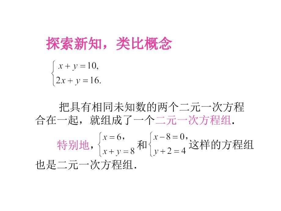 81二元一次方程组_第5页