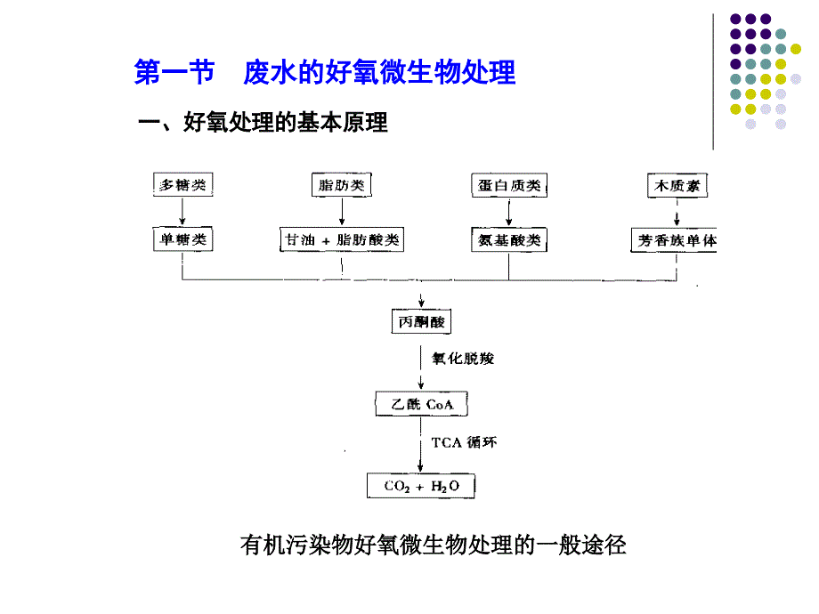 第九章废水微生物处理原理与应用_第4页