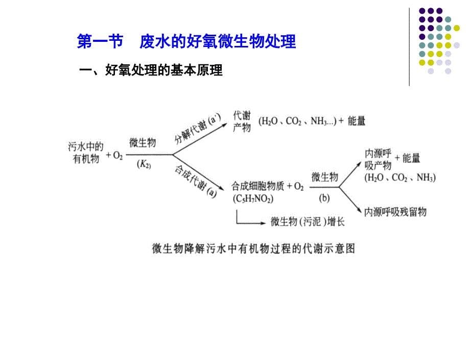 第九章废水微生物处理原理与应用_第5页