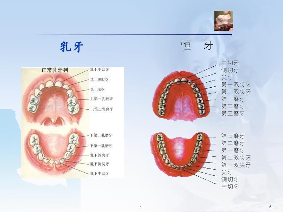 儿童口腔保健课件_第5页