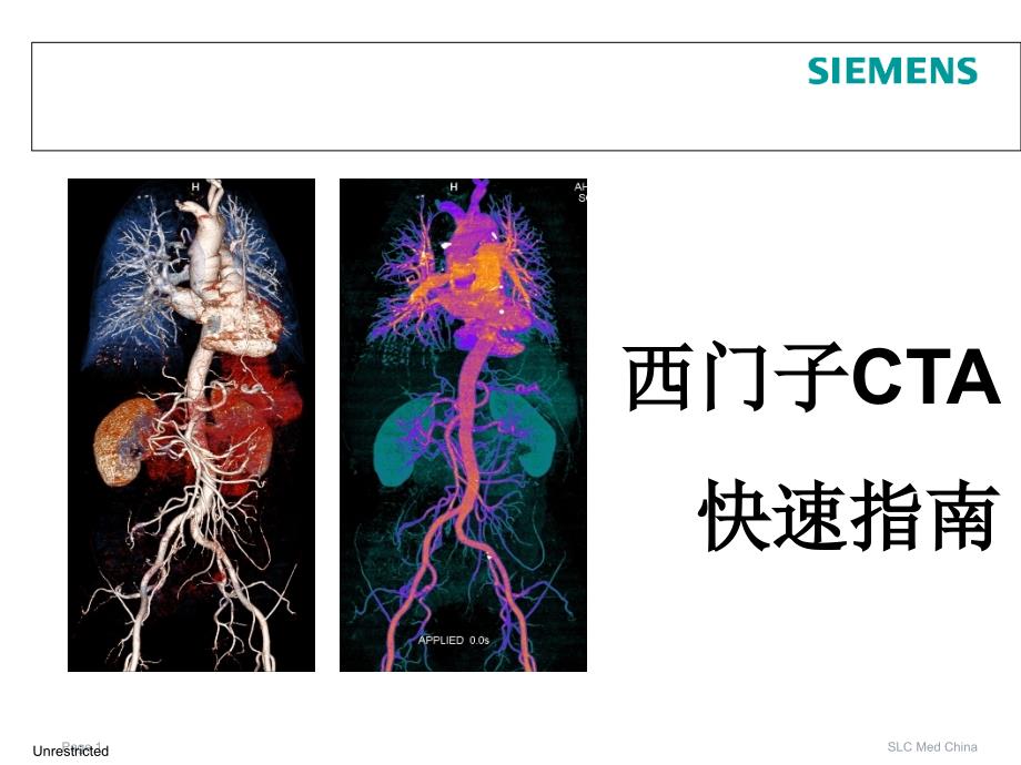 西门子CTA快速指南PPT参考幻灯片_第1页