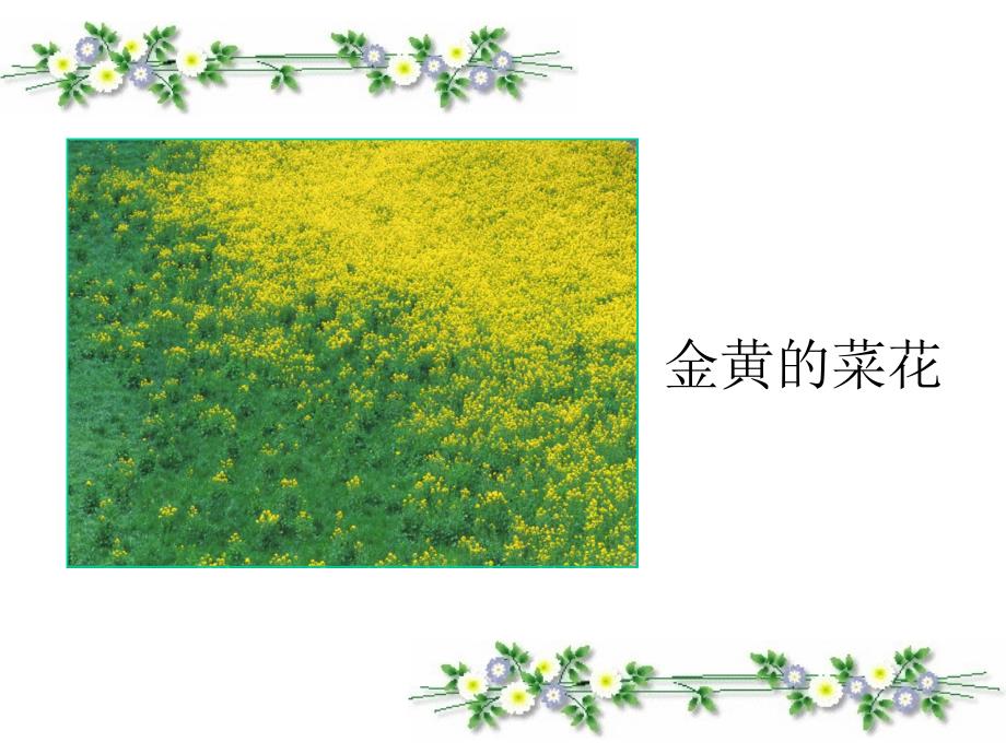 植物妈妈有办法PPT_第4页