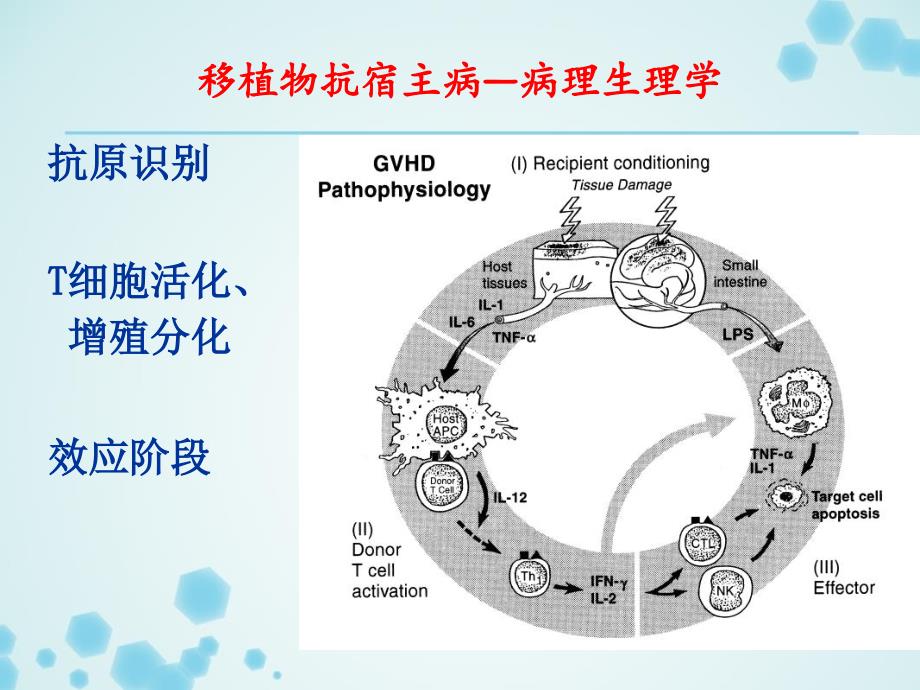 免疫抑制剂汇总_第4页