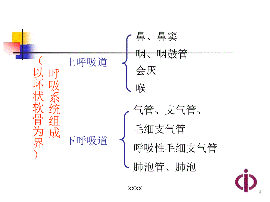 儿科学呼吸系统疾病ppt课件_第4页