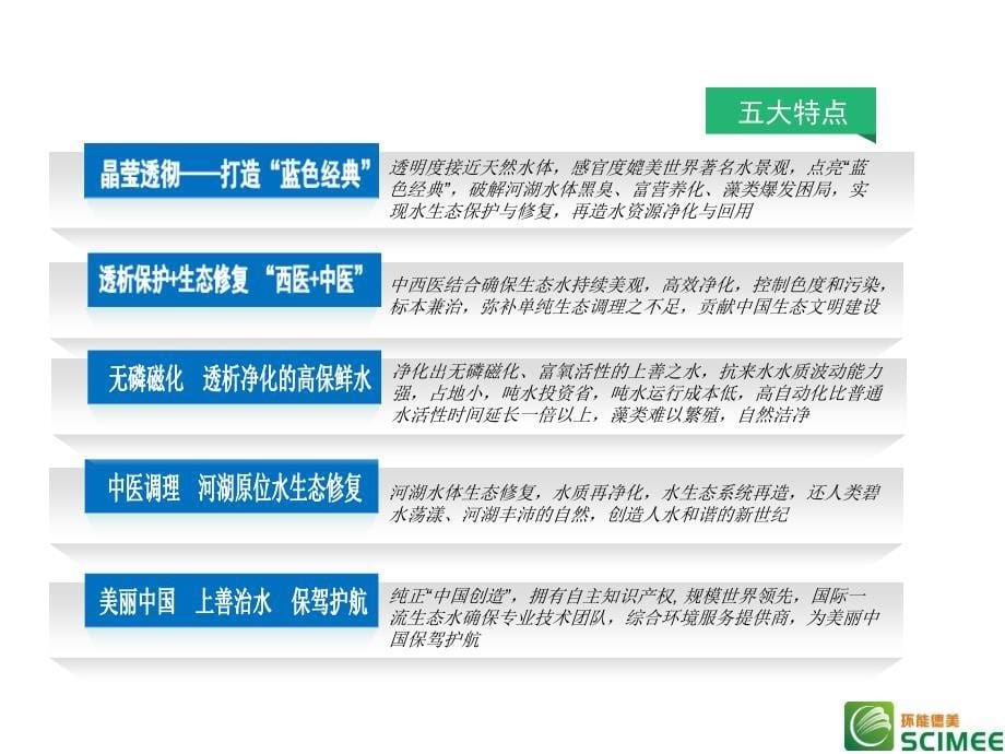 河湖生态水环境治理及生态水确保整体解决方案doc资料_第5页