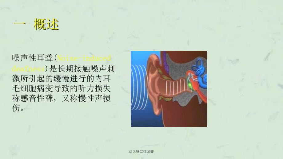 讲义噪音性耳聋课件_第3页